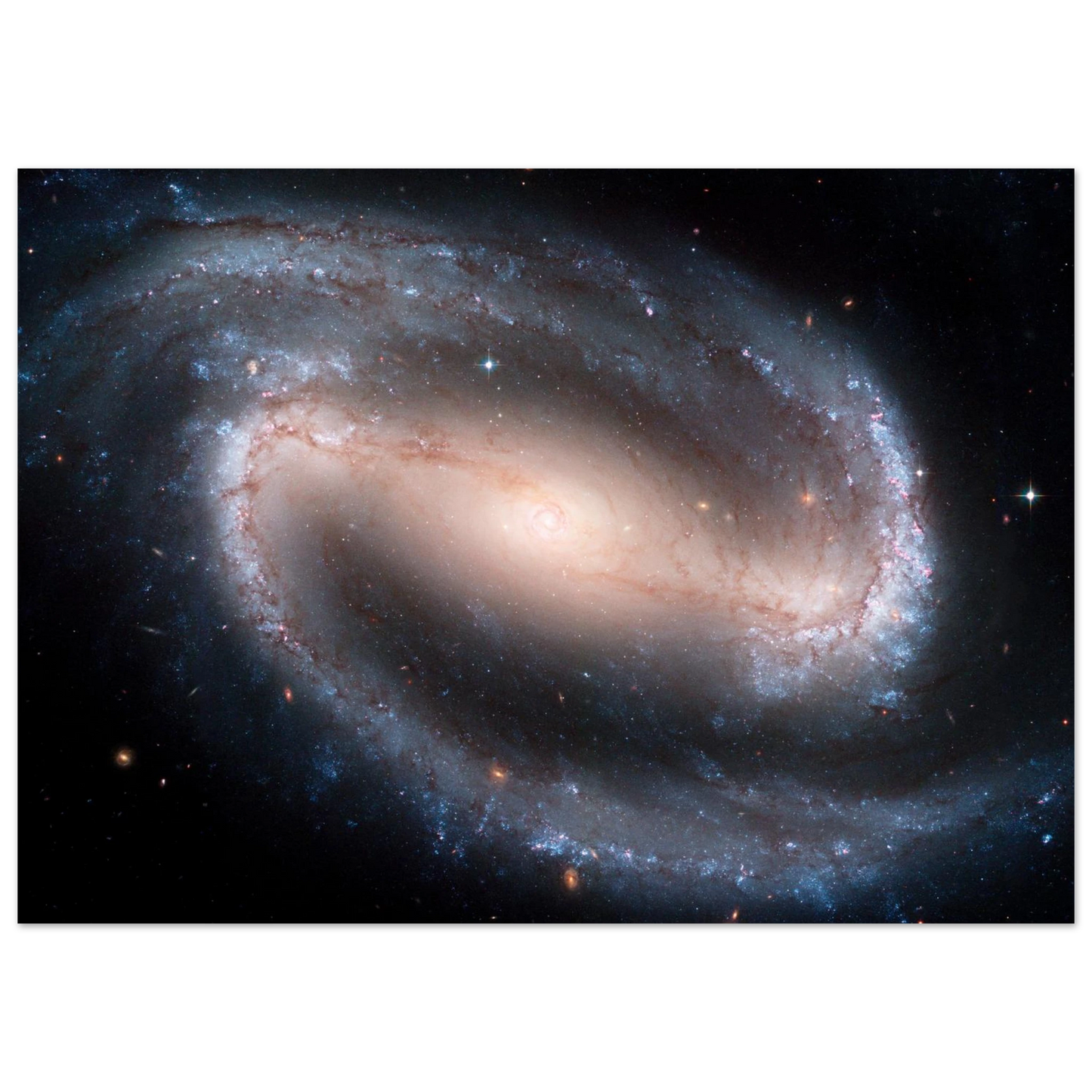 69e87599-682f-45ff-ab9e-14169366adbc