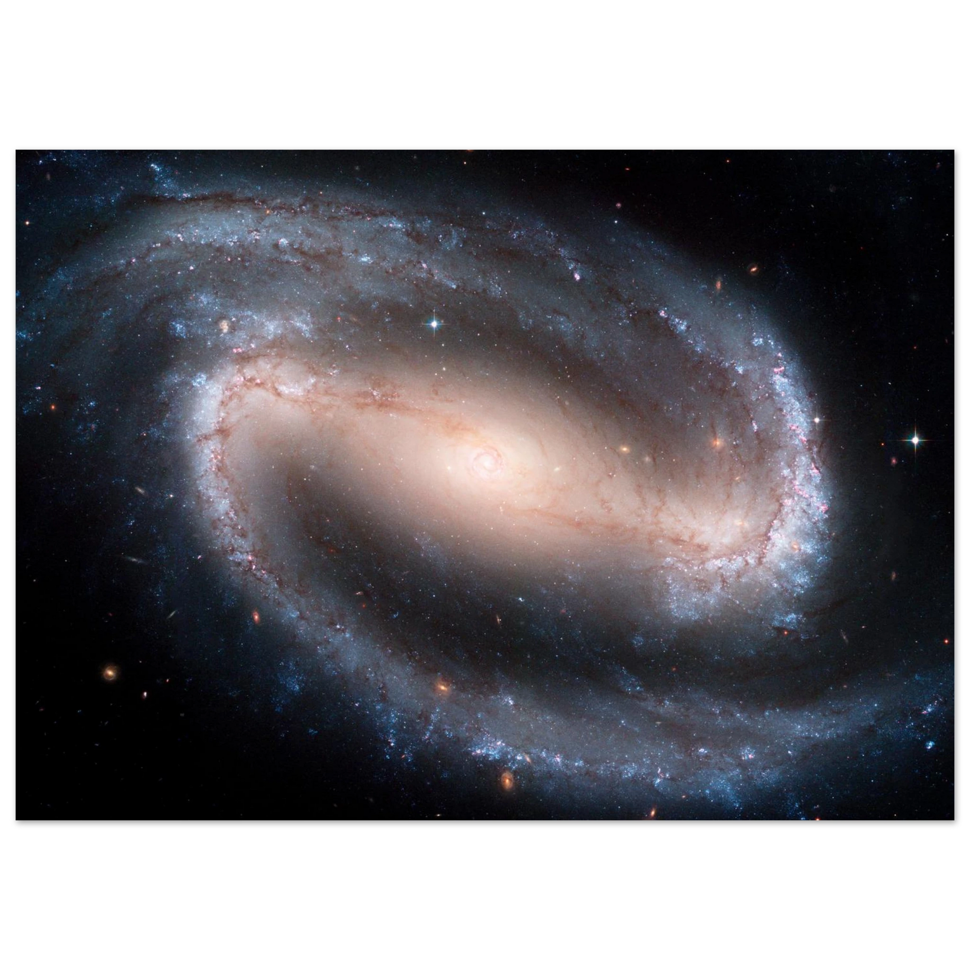 69e87599-682f-45ff-ab9e-14169366adbc