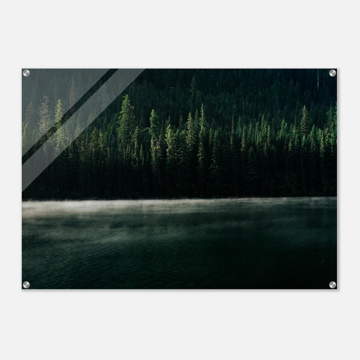 Quartz Lake misty evergreen forest #PD_310 acrylic print display view 4