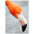 6a4d41ed-72e4-47f6-8b26-95cd32ea105f