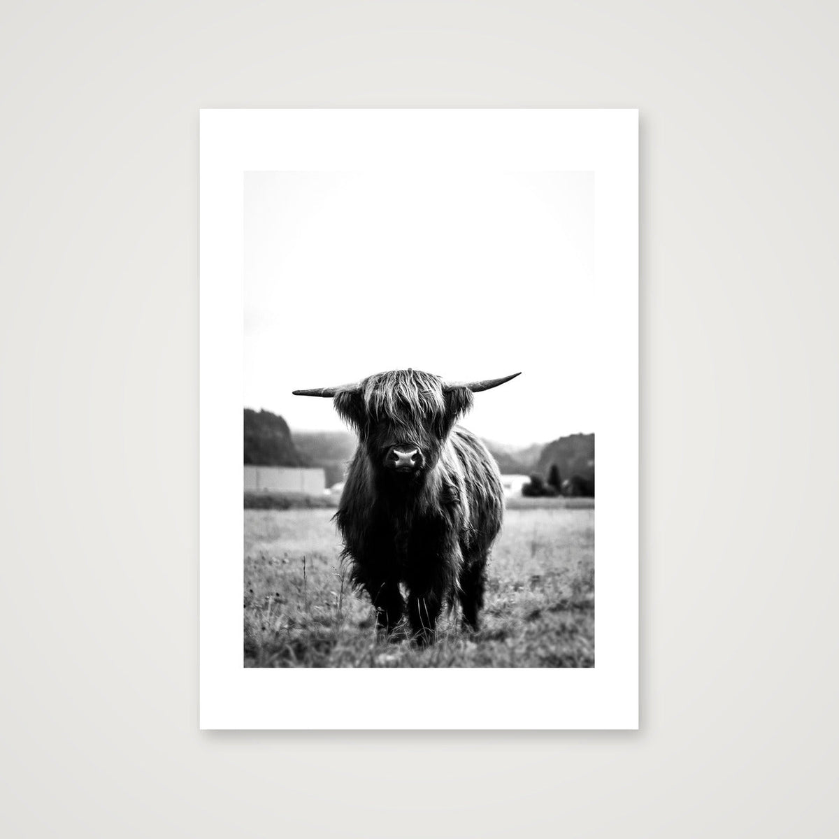 102  — A4 (21×30cm, 8×12") Print only