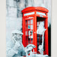 445 — 42×59cm, 17×23" Print only