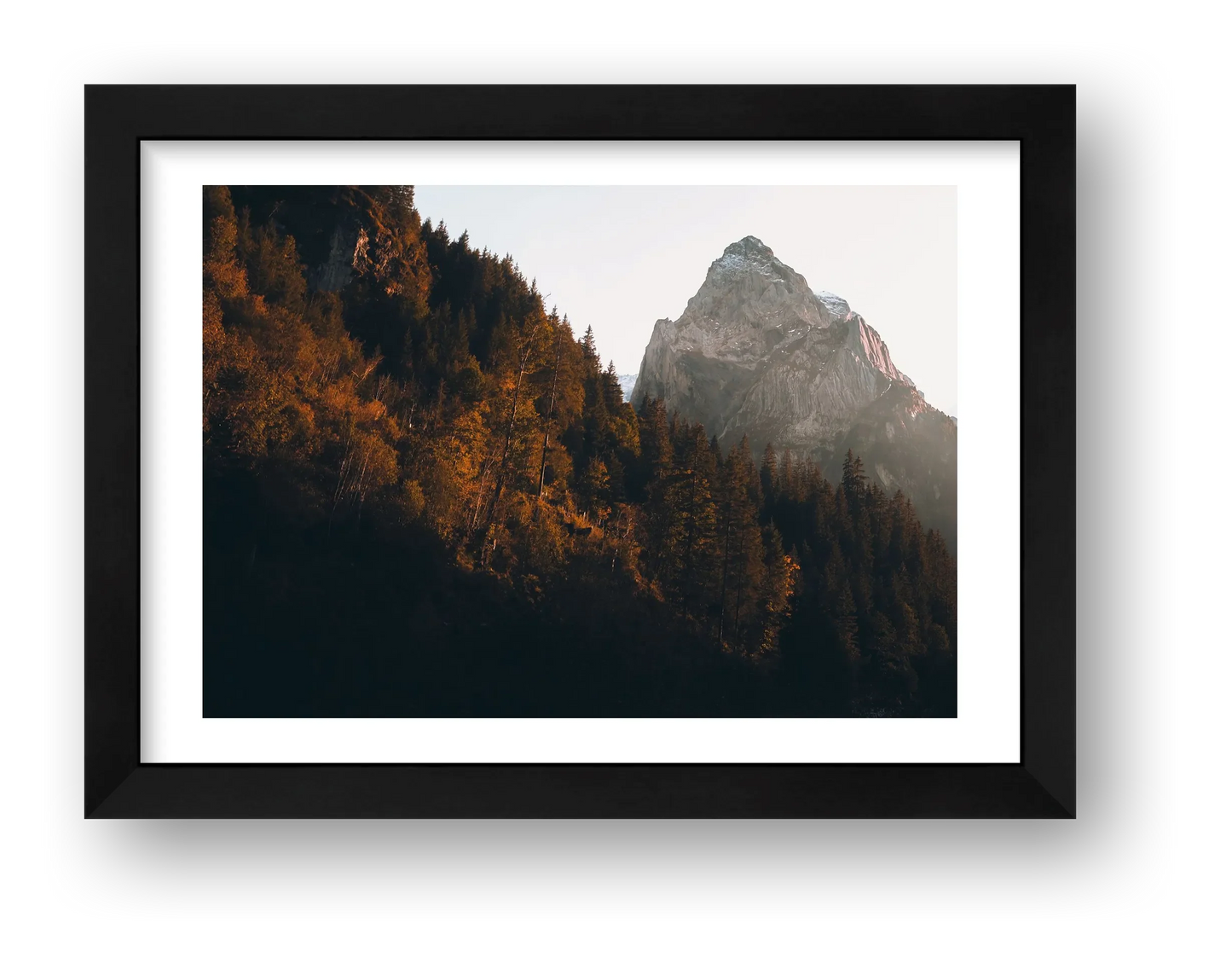 1285 — framed
