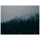 6bee2946-026e-44c3-b8ae-751398e3705c