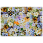 6c17104e-bf12-4489-845c-acd4c8ed4b32