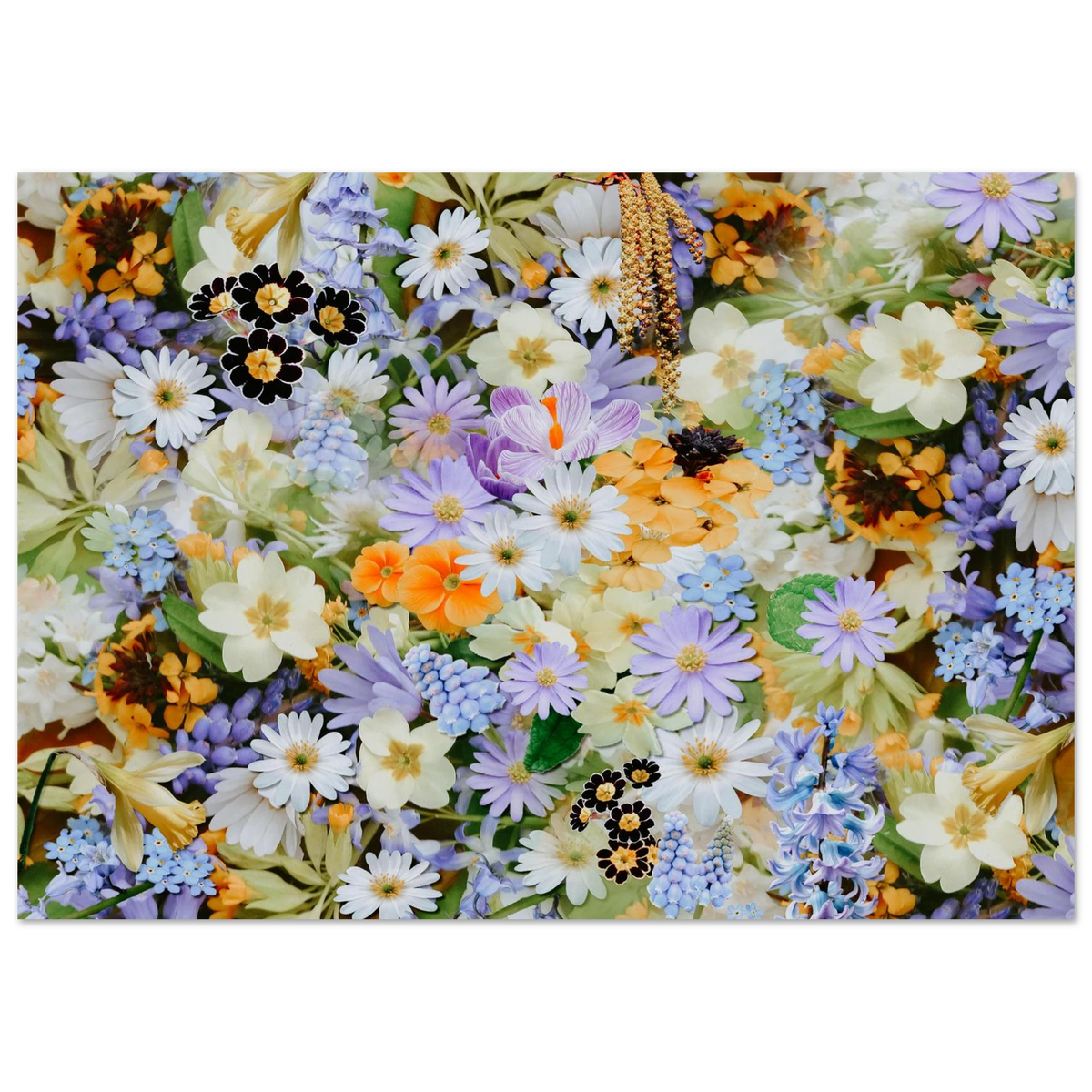 6c17104e-bf12-4489-845c-acd4c8ed4b32