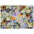 6c17104e-bf12-4489-845c-acd4c8ed4b32