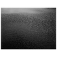 6c564ba0-bbf0-462f-9255-e29c00a12f11