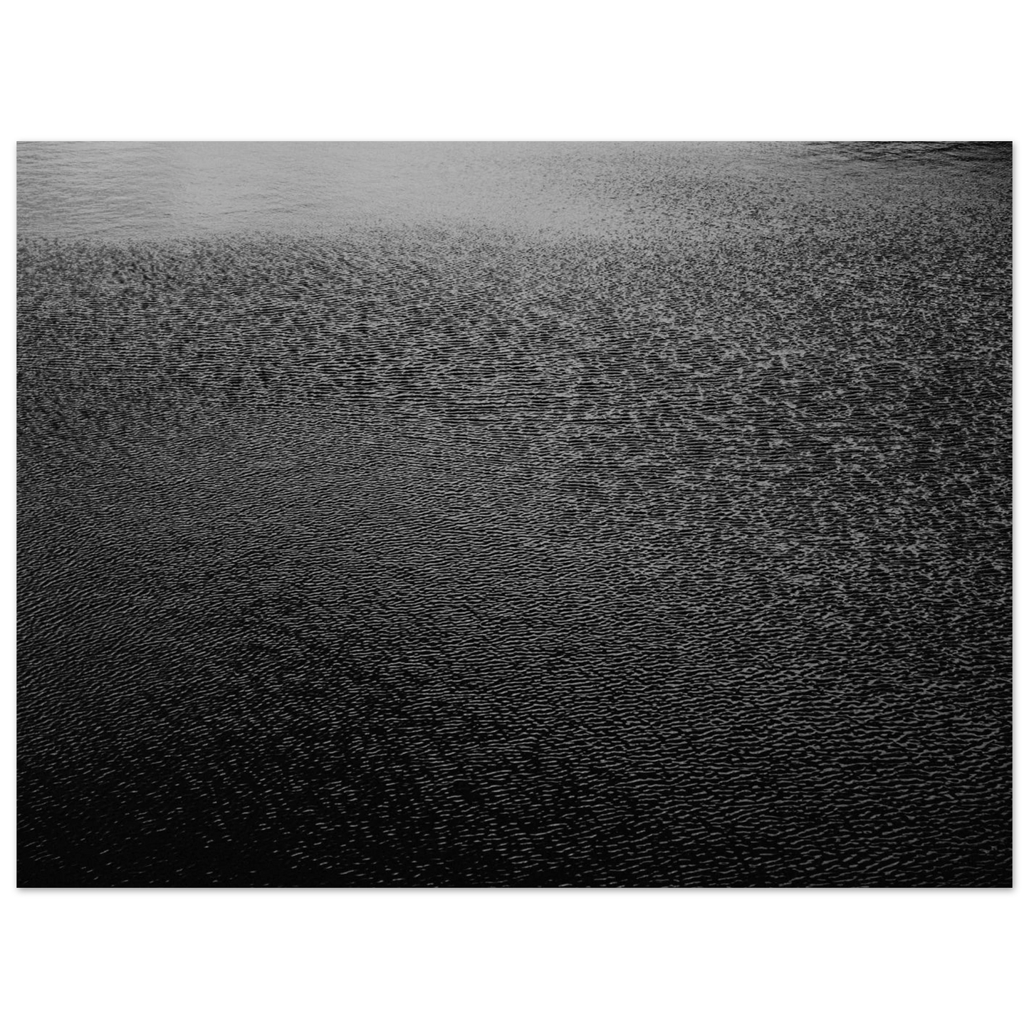 6c564ba0-bbf0-462f-9255-e29c00a12f11