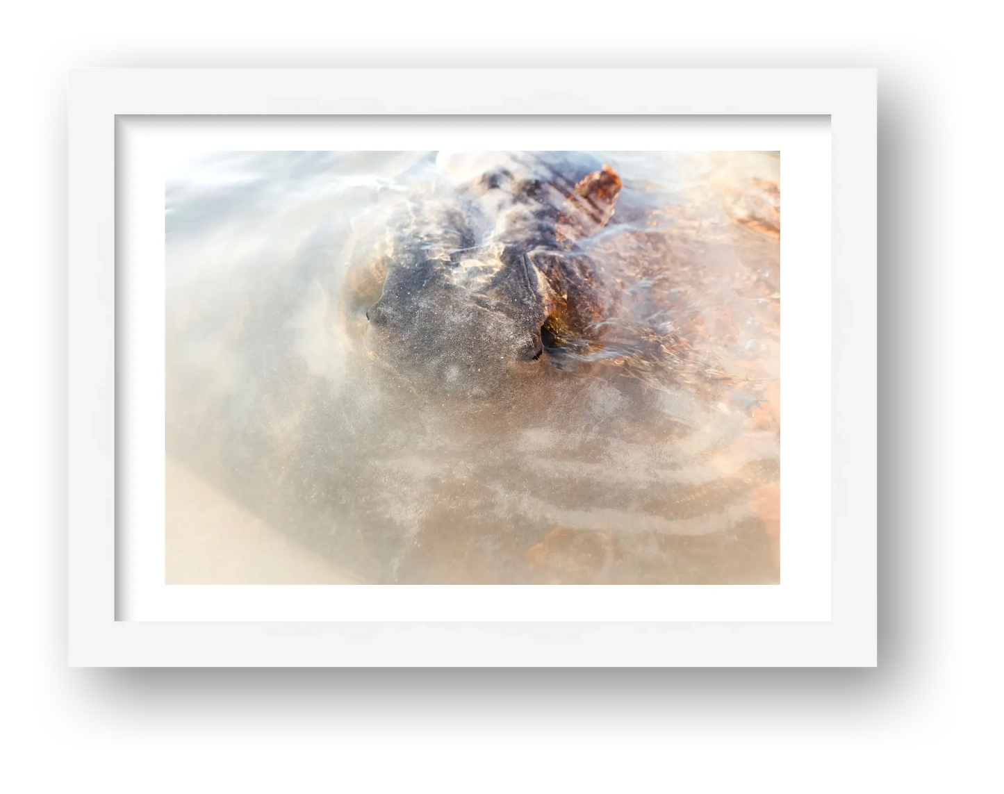 461 — framed