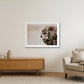 486 — 84×59cm, 33×23" White Frame
