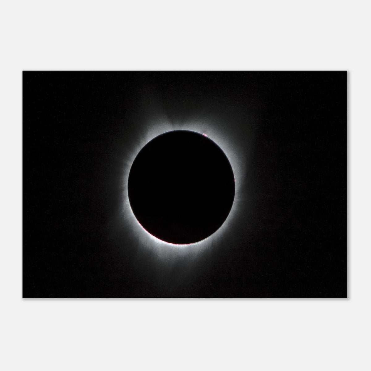 6de52716-f1d5-422a-8e55-6e8ea9d6a436