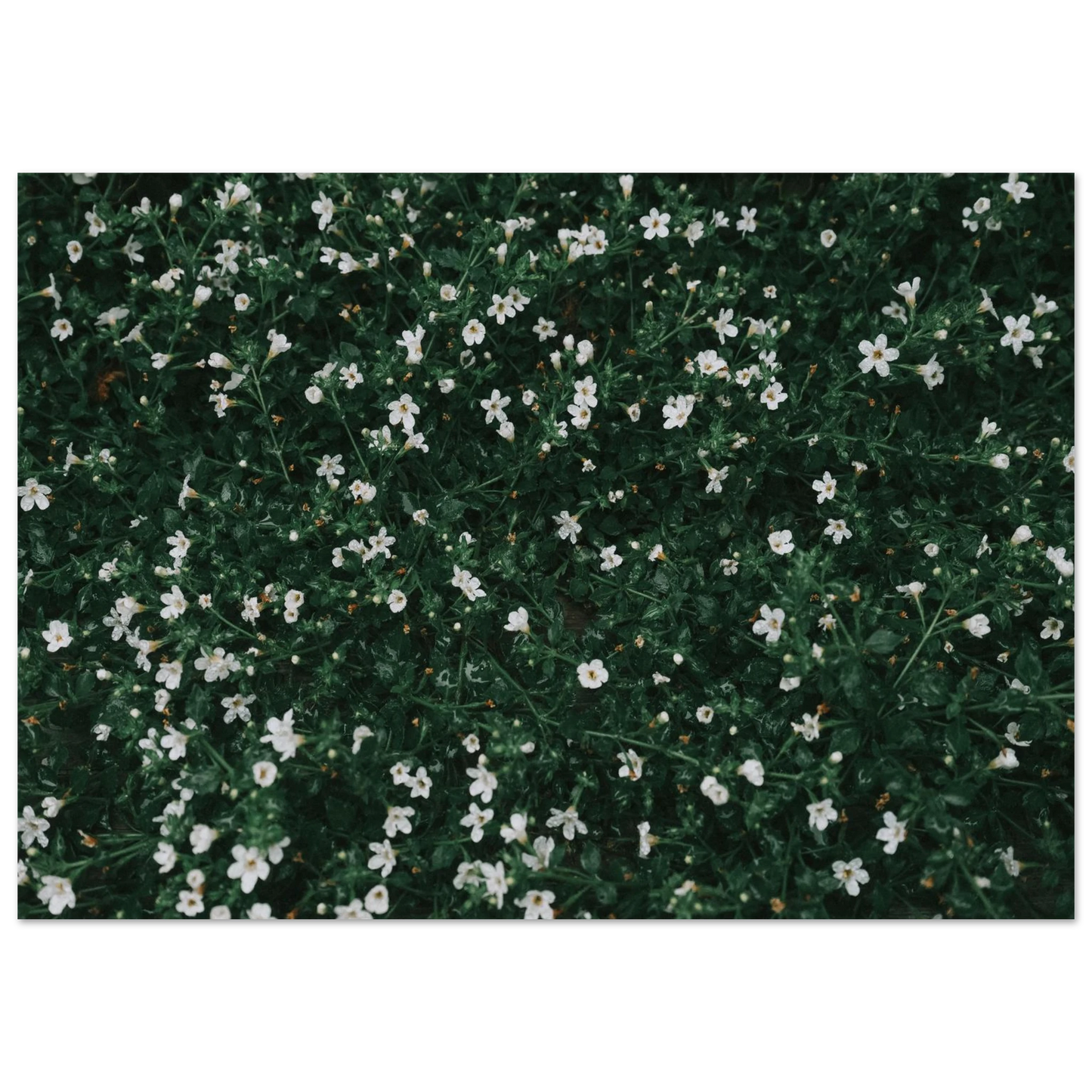 6e9043c5-230e-4097-a420-a87d46b7b623