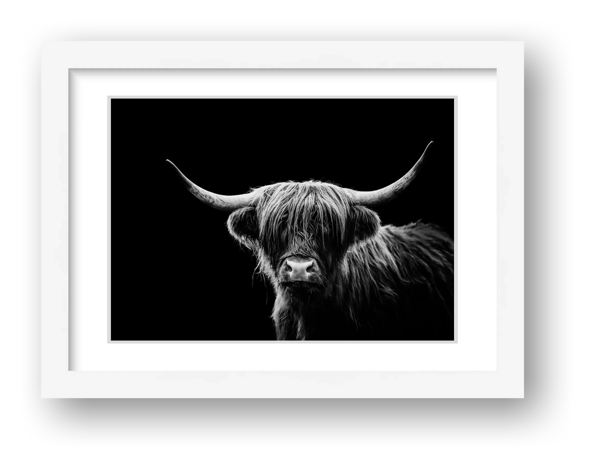 106 — framed