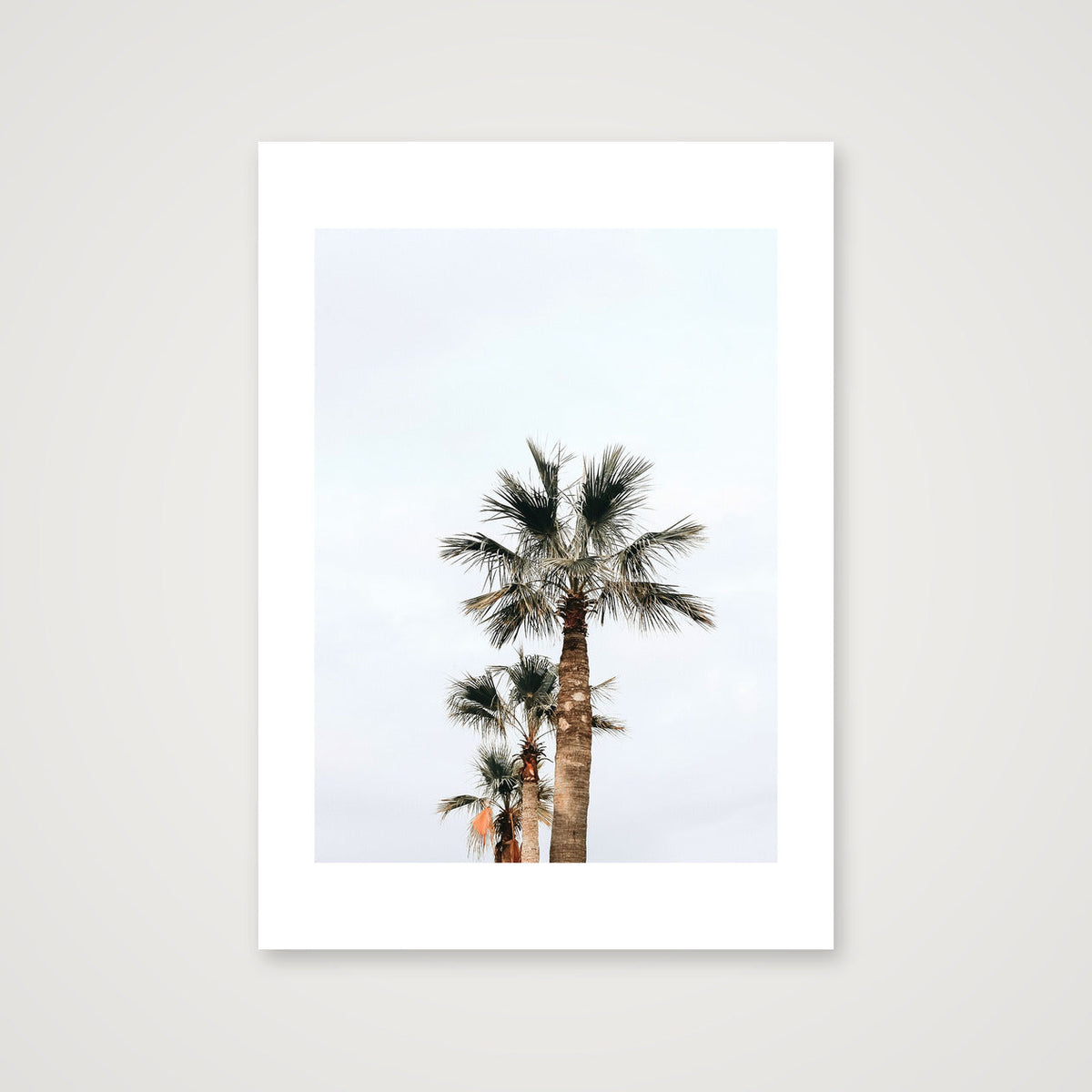 2 — 42×59cm, 17×23" Print only