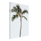 70f4e85a-df18-4ab9-af55-4b6738713e62