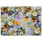 Unframed poster showing a dense illustration of pastel flowers with orange accents