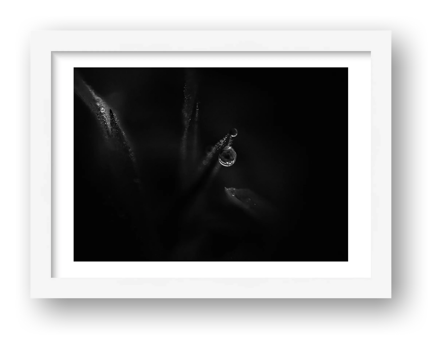 1867 — framed