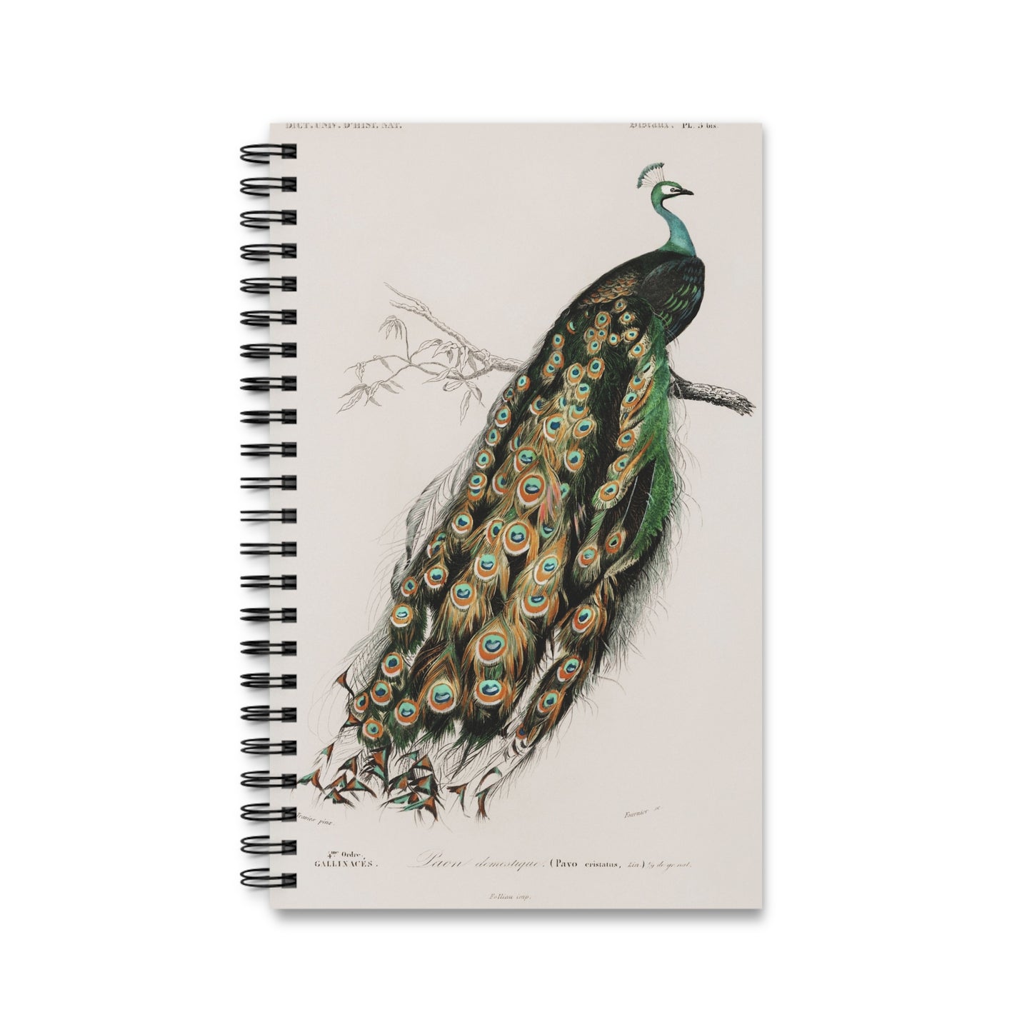 SUMMER - College Notebook Gift For Journalling Spiral Notebook - Ruled Line Journal For Woman Spiral Note Book Aesthetic Stationery Work Notebook