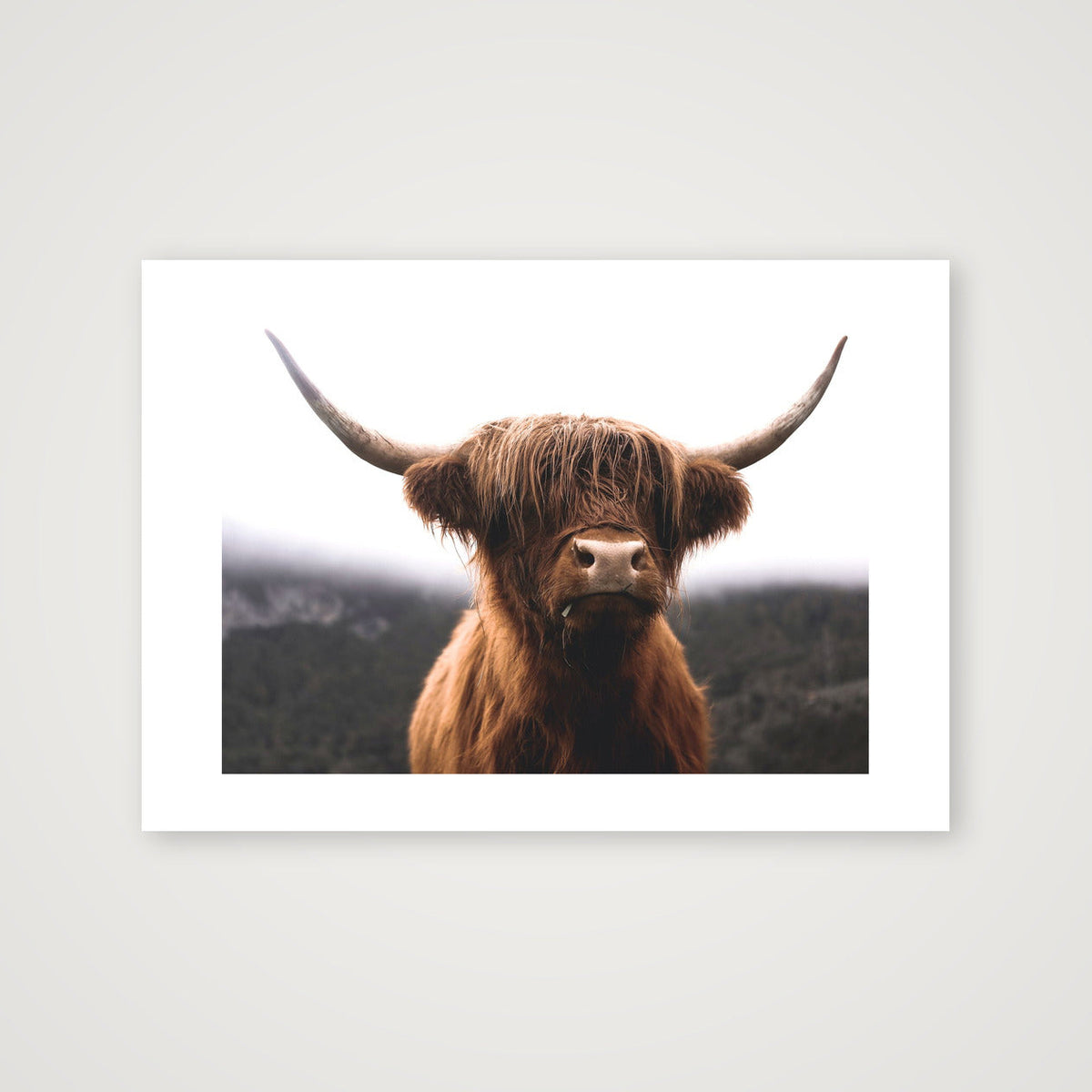 61 — A4 (30×21cm, 12×8") Print only