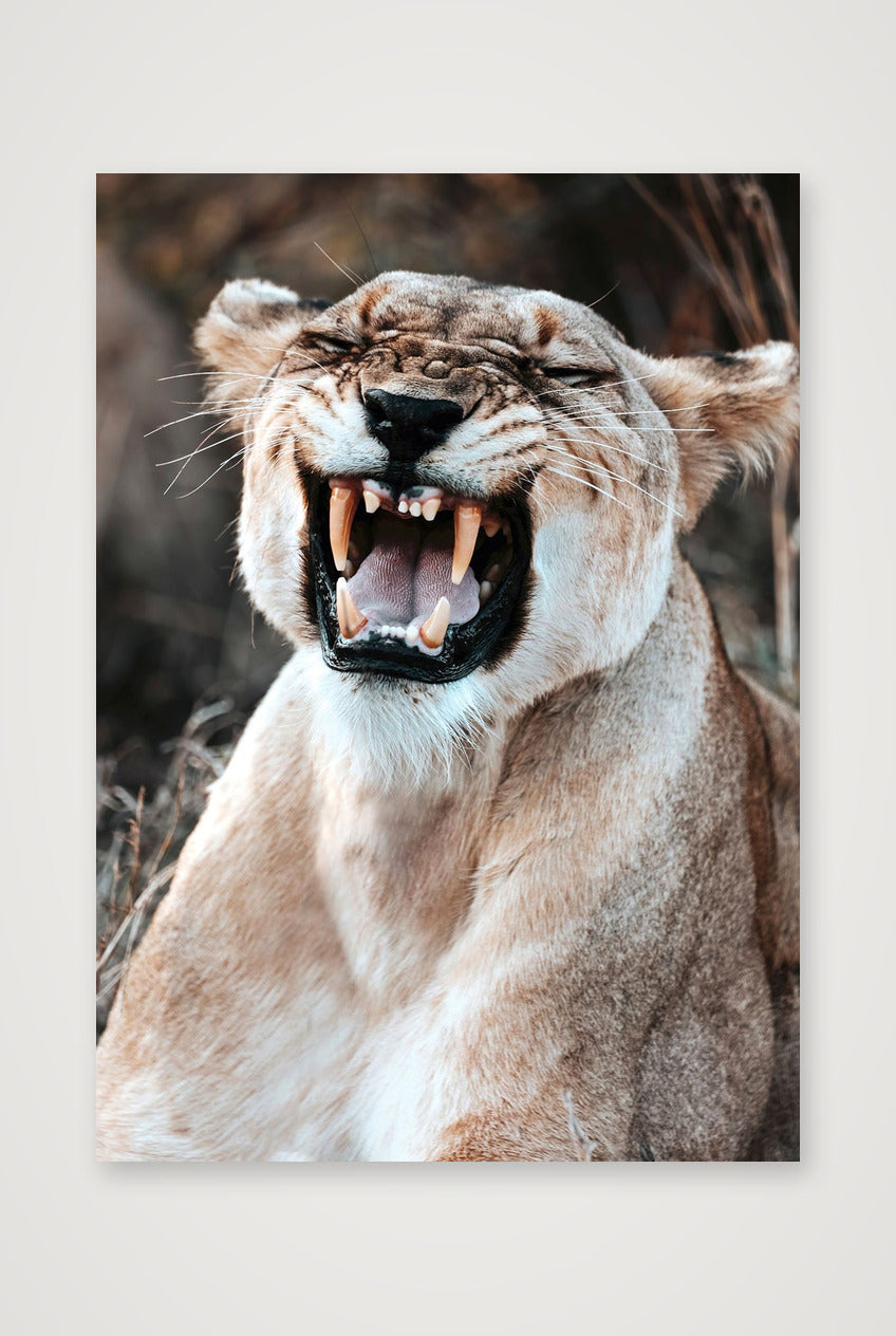 1808 — 42×59cm, 17×23" Print only