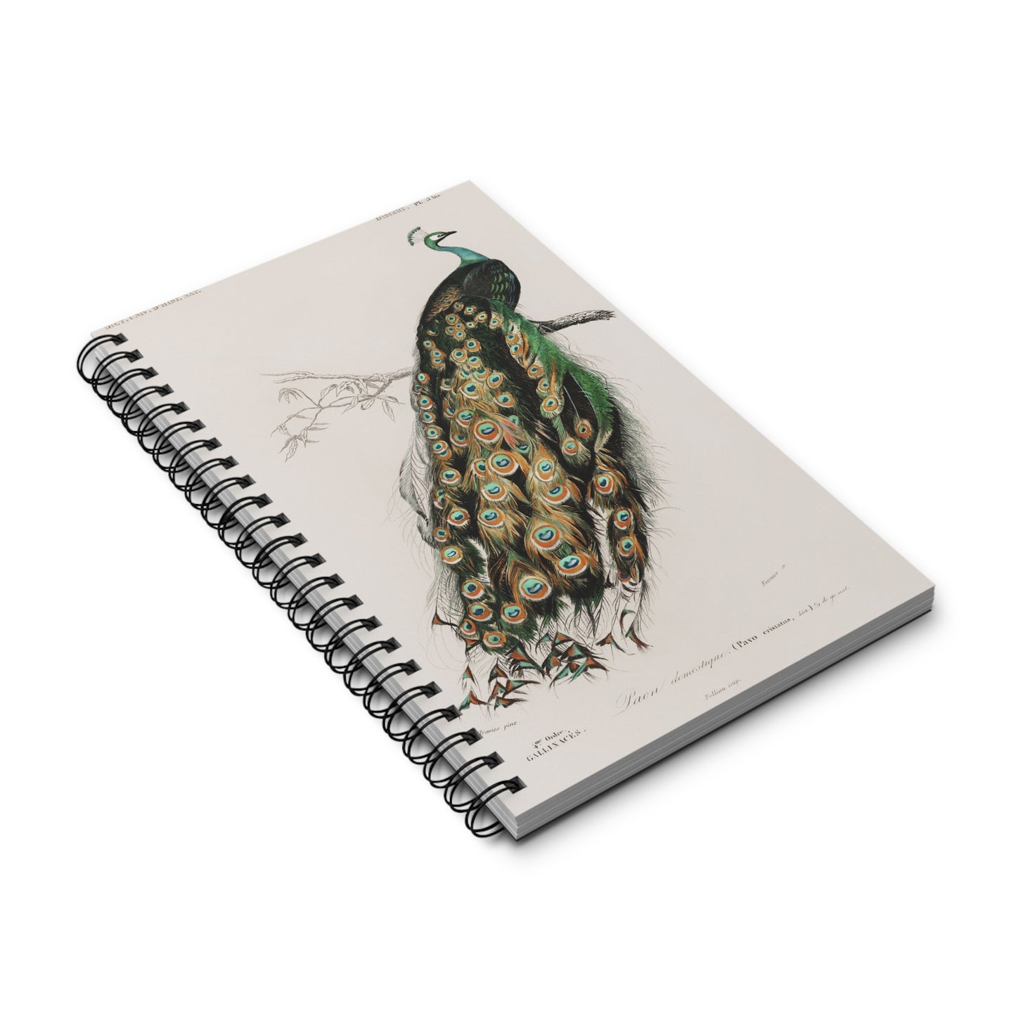 SUMMER - College Notebook Gift For Journalling Spiral Notebook - Ruled Line Journal For Woman Spiral Note Book Aesthetic Stationery Work Notebook
