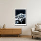 52 — 59×84cm, 23×33" White Frame