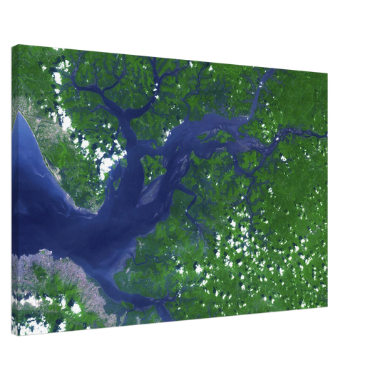 Sierra Leone Estuary Wall Art Canvas Print NASA Aerial Earth Landscape Africa Decor #PD_119 product image