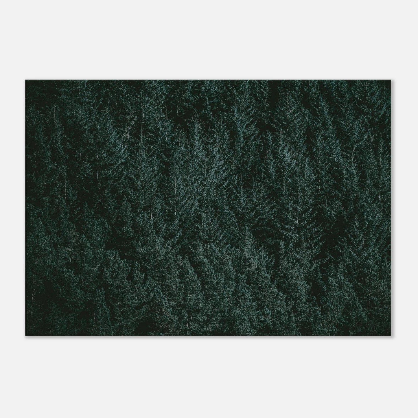 76b1fbe5-70f0-4d69-9a74-013dcc8f1005