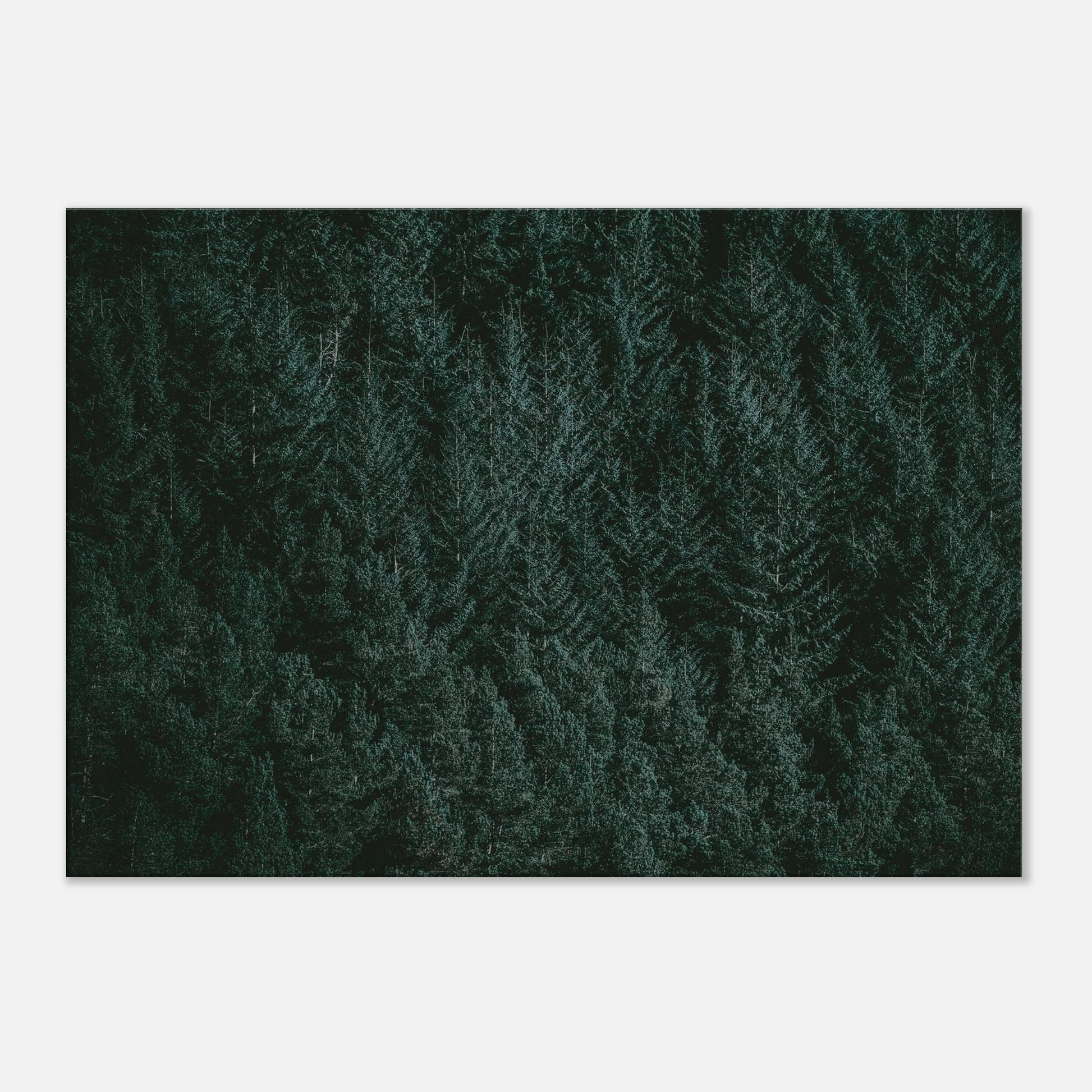 76b1fbe5-70f0-4d69-9a74-013dcc8f1005