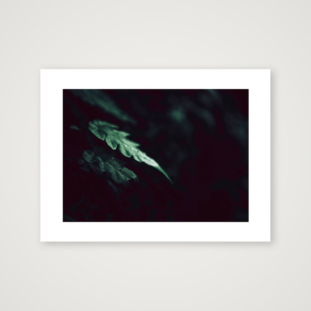 1128 — 80×60cm, 31×24" Print only