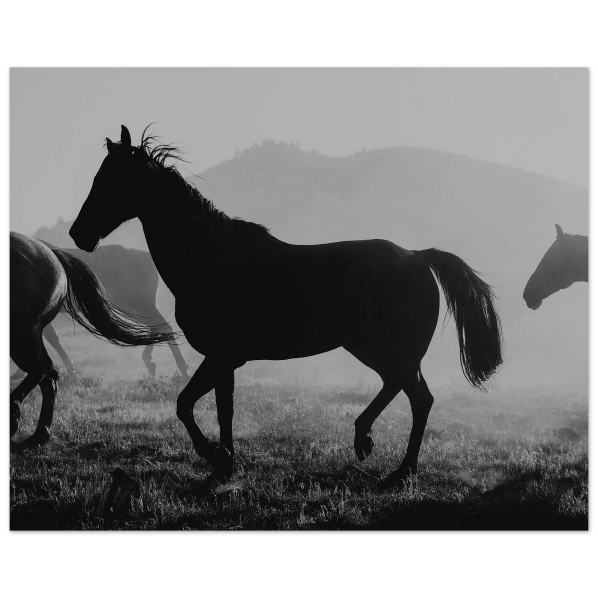 78411d9f-1acc-4b2e-8b15-913dc655c1a1