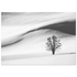 Unframed poster showing a lone bare tree among black and white snowy hills