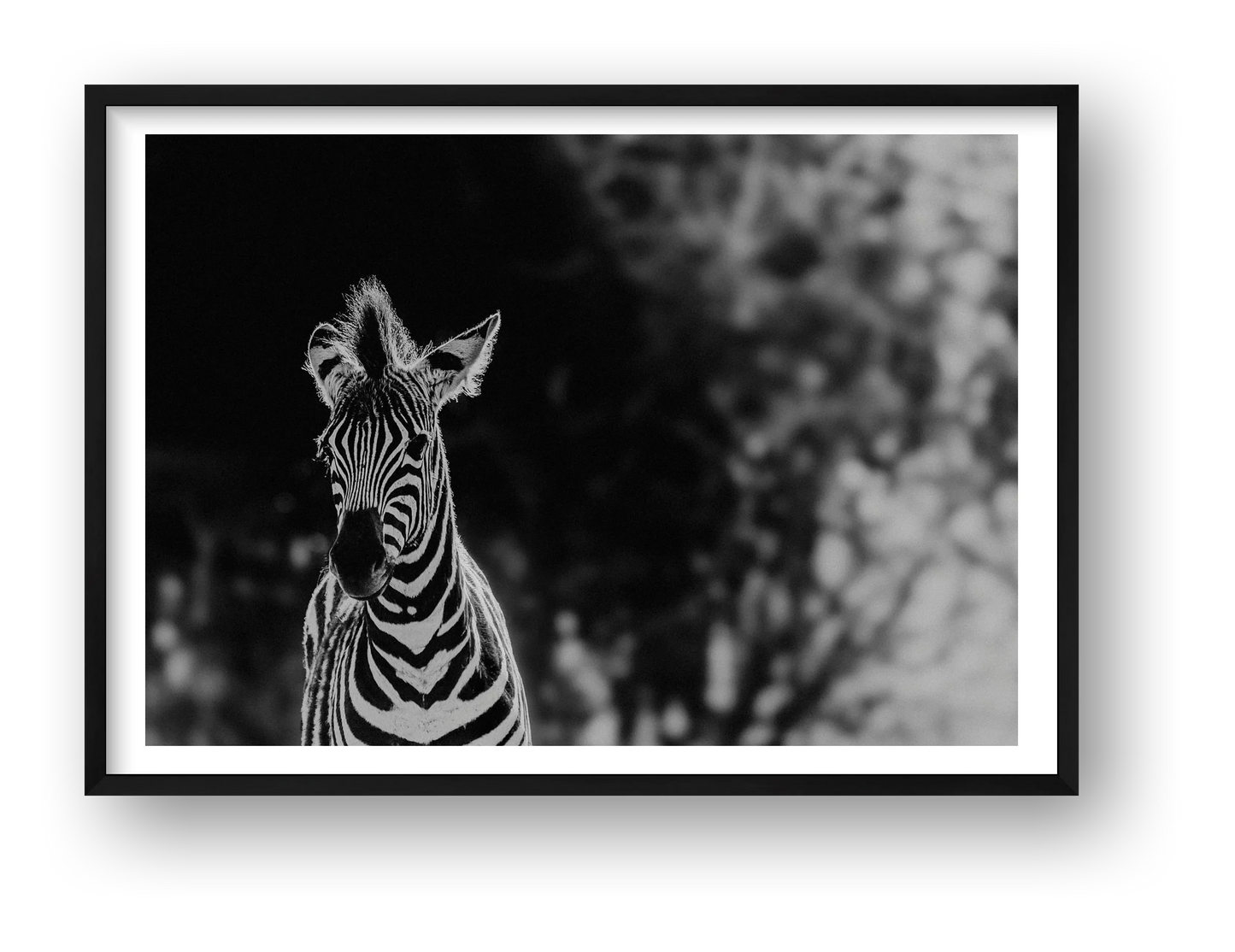 419 — framed