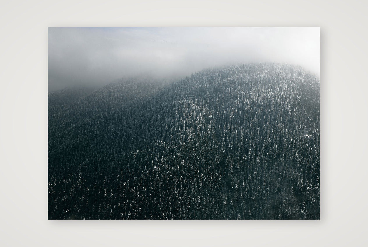 13 — A4 (30×21cm, 12×8") Print only