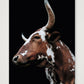 1592 — 42×59cm, 17×23" Print only