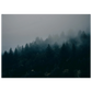 7a64a5f6-507c-49fb-be0f-b95ee4f9650f