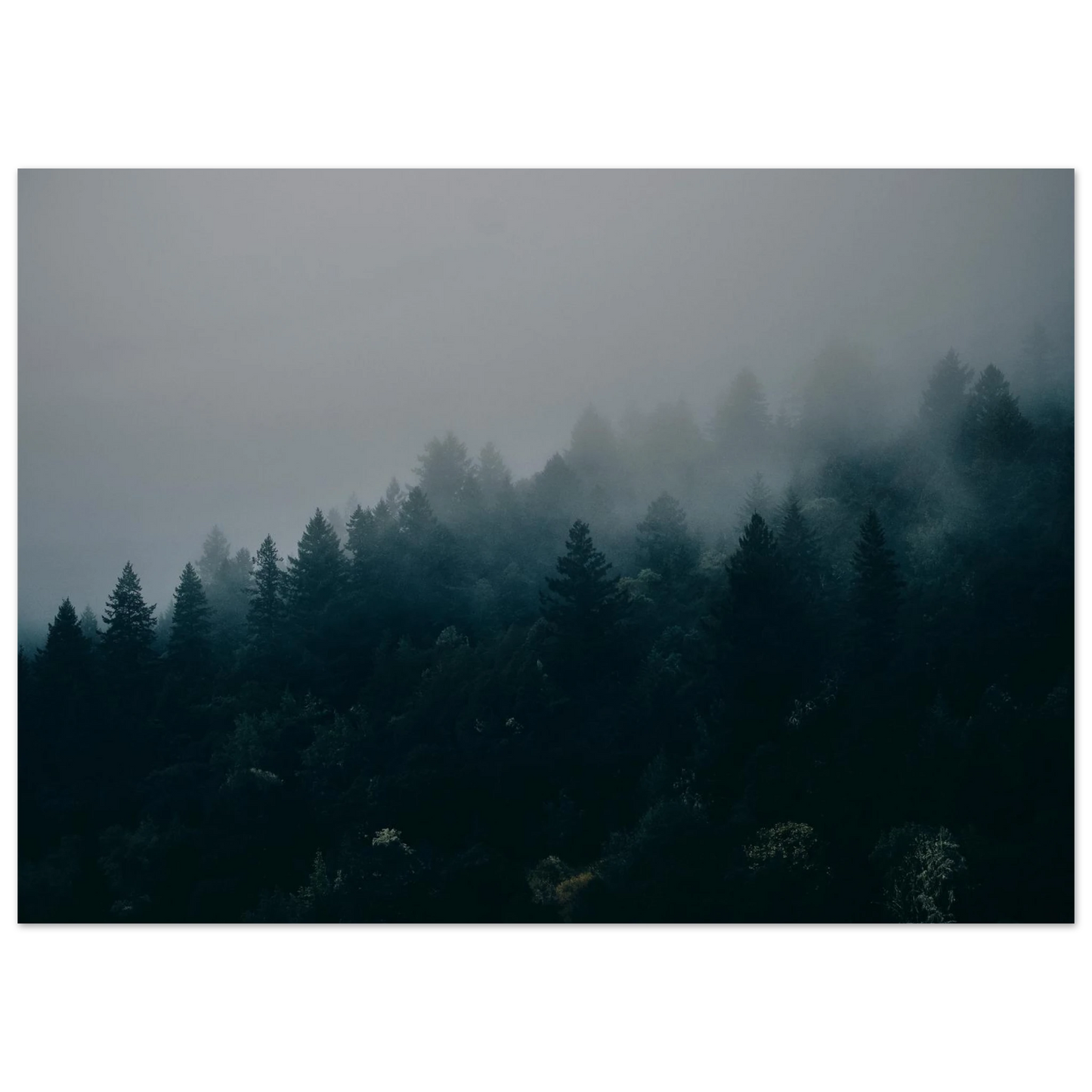 7a64a5f6-507c-49fb-be0f-b95ee4f9650f