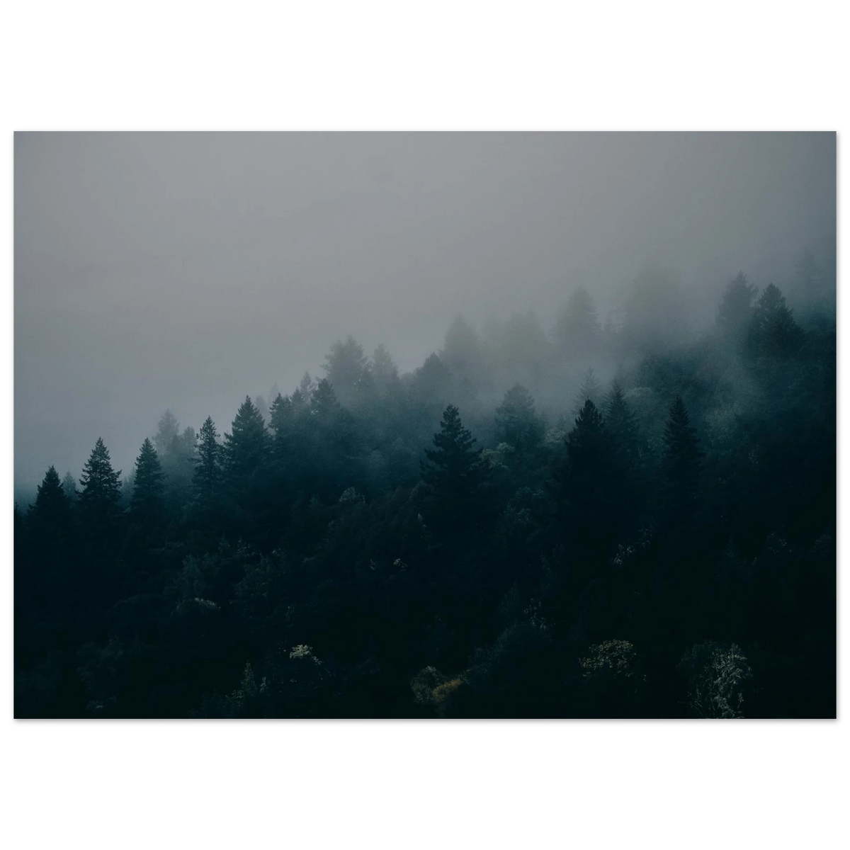 Misty Forest Wall Art Woodland Poster Print Foggy Pine Tree Photography Dark Nature Decor image 9