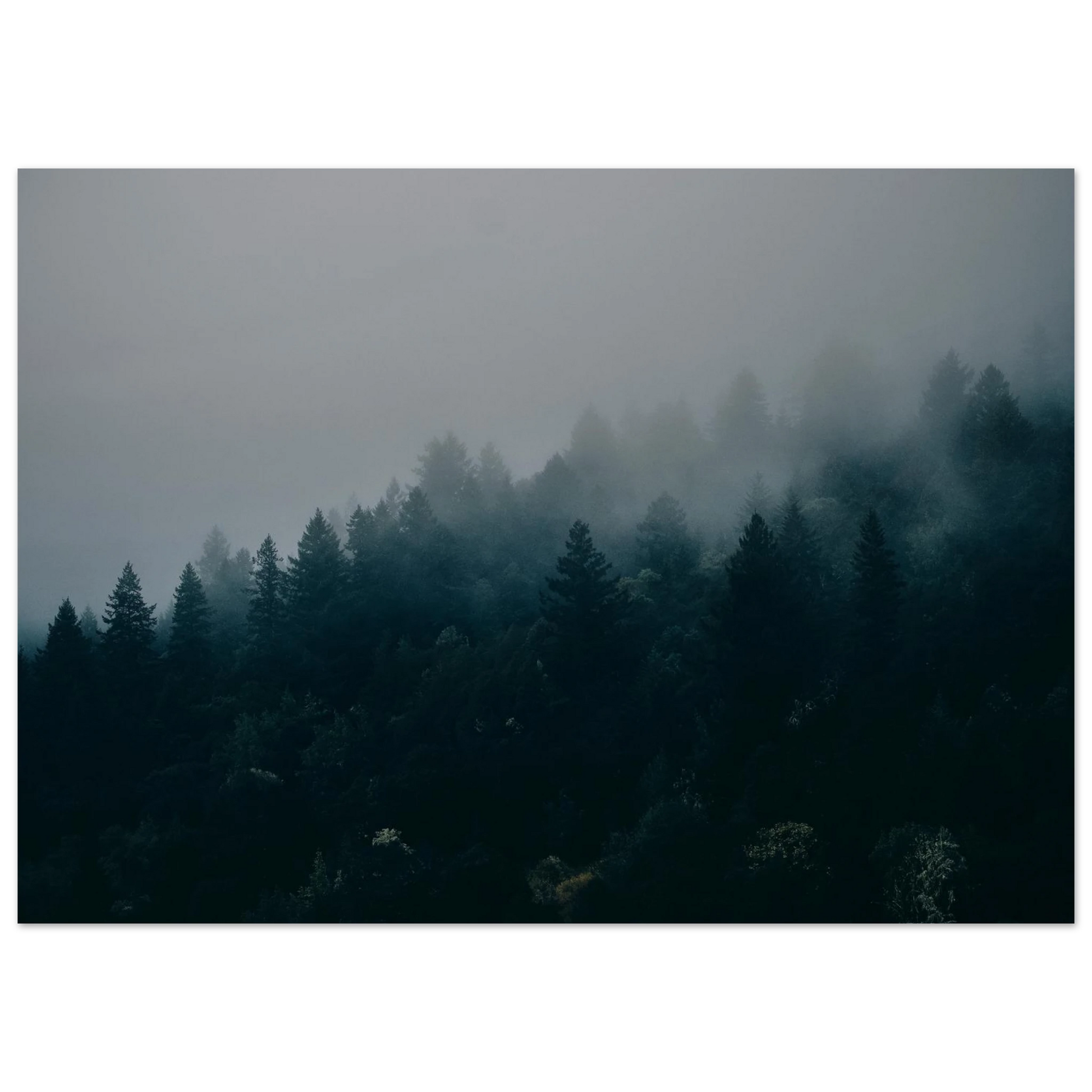7a64a5f6-507c-49fb-be0f-b95ee4f9650f
