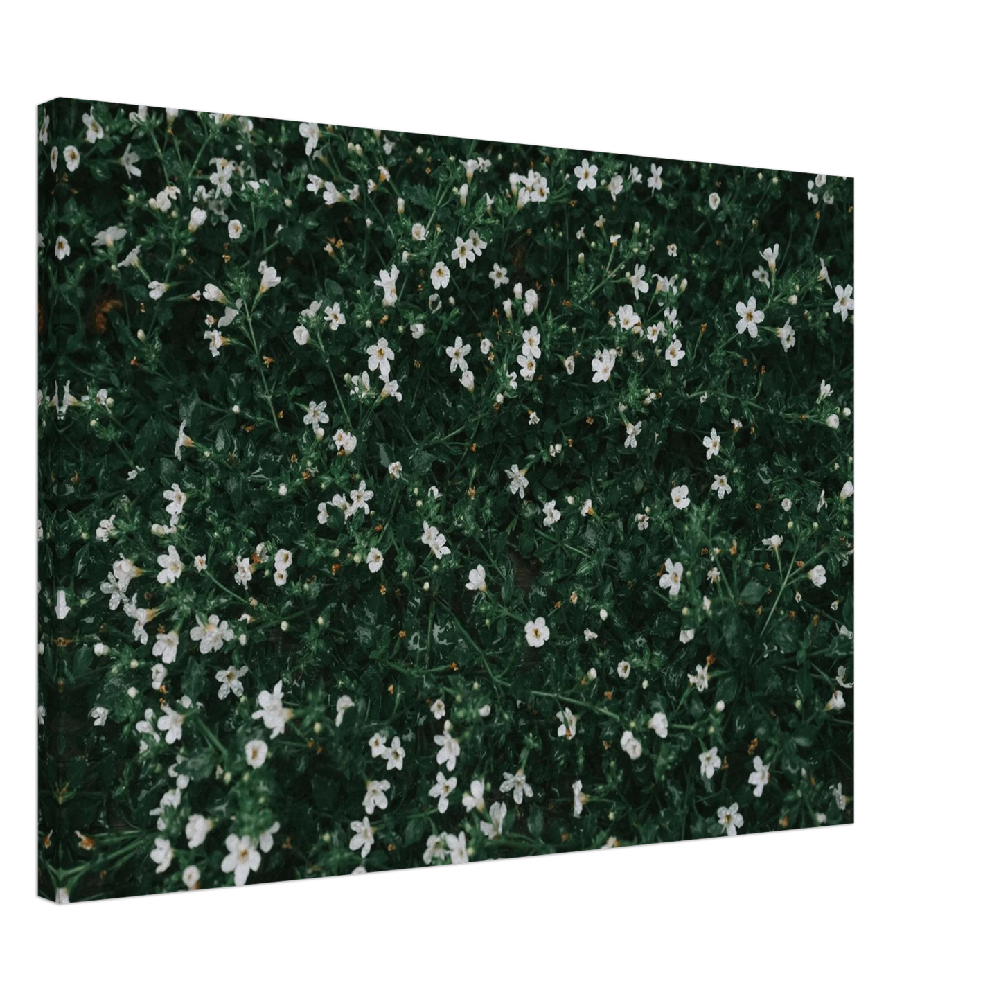 7ad80ea7-b65d-4061-bf33-799944d08569