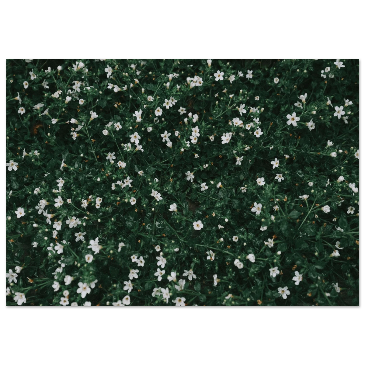 7b35482c-9cbe-4232-bd6d-9e80594ff175