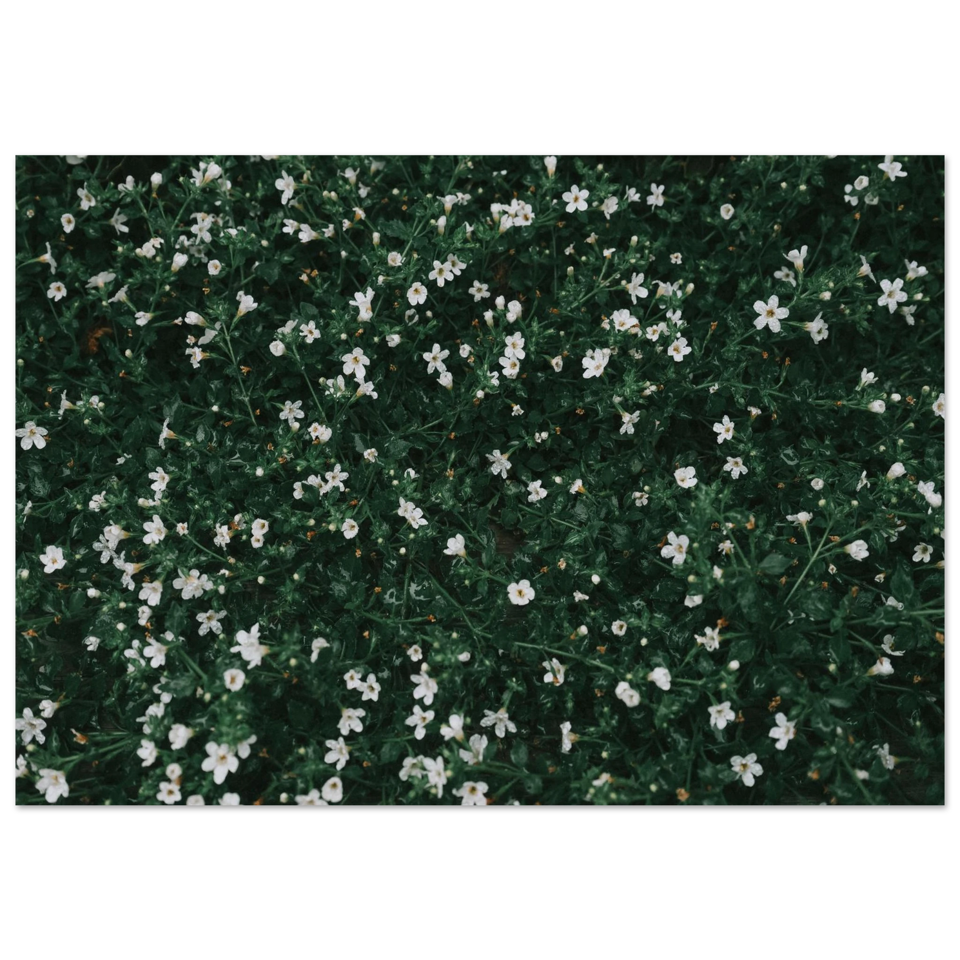 7b35482c-9cbe-4232-bd6d-9e80594ff175