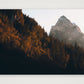 1285 — A3 (42×30cm, 17×12") Print only