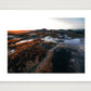 1392 — 59×42cm, 23×17" Print only