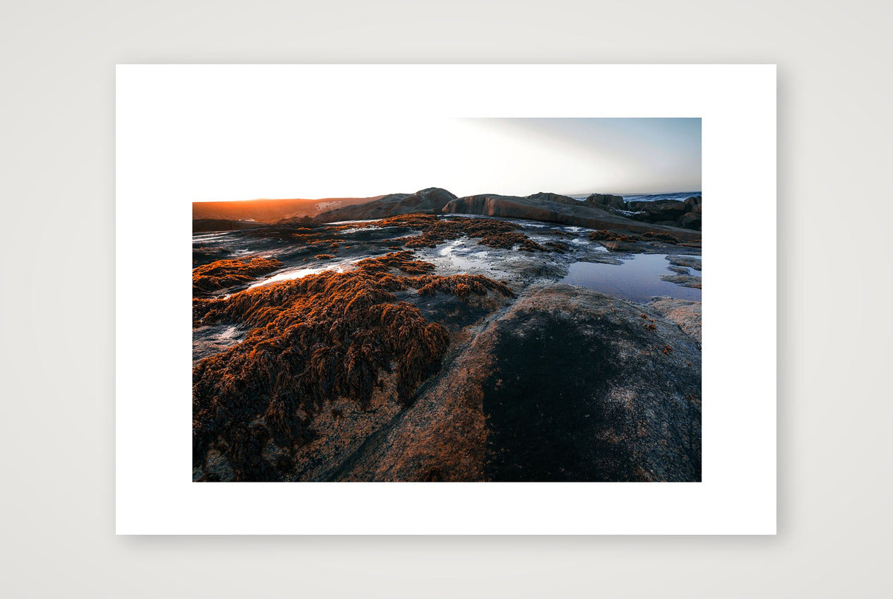 1392 — 59×42cm, 23×17" Print only