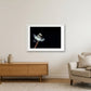 24 — 84×59cm, 33×23" White Frame
