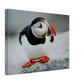 7ce5189c-4de0-4ce5-ac4c-0d954e25f48f