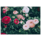 7d37847b-617d-4515-a85d-9aeb04264095