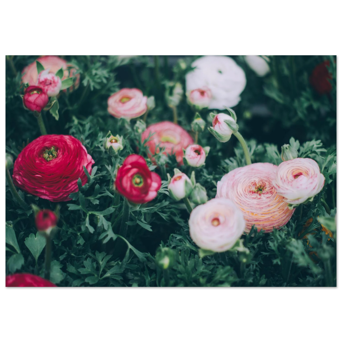 7d37847b-617d-4515-a85d-9aeb04264095